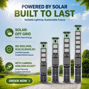 100 Watt IP66 Wall Mount Solar Street Light Aluminum Alloy CCTV Camera 3 Year Warranty LED 6000K CE RoHS Passed