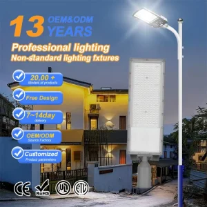 100W AC Outdoor Street Light IP65 Waterproof Super Bright LED High Efficiency Solar Panel Automatic On for Highway Park Garden