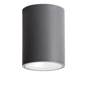 10W/12W IP65 Waterproof Outdoor Surface-Mounted Round LED Ceiling Light