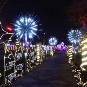 12V RGB Dynamic Fireworks Light for Outdoor Christmas Decoration Lighting