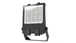 160lm W 100W SMD IP66 Waterproof High Bright LED Flood Light High Lumen Multiple Beam Angles 5 Year Warranty Remote Control CRI