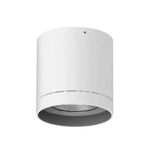 30-40W IP65 Outdoor Surface-Mounted LED Downlight