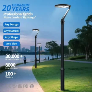 30 50 60 100W High Luminous Garden Path Courtyard Passage Park LED Courtyard Light Outdoor IP65 LED Solar Light