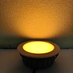 316 Stainless Steel Waterproof Outdoor Ceiling Lamp 3W 60W DMX WiFi Tuya Control IP65 RGBW Dimmable for Home Decoration