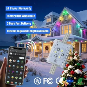 48V 20MM Jellyfish RGBW Color Changing Outdoor Permanent Christmas Lighting UCS2904 Addressable Pixel Point Lights for Eave