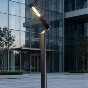 50W Solar Garden Light High Lumen Outdoor Landscape Lighting for Villa Pathway and Park