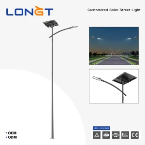 60W Endurance Smart Aluminum Road Light IP65 Solar Lights with DC Power Supply Outdoor 10 Year Warranty Induction Lamps