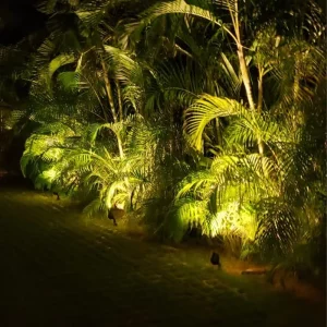 6W LED Spike Light IP65 Outdoor Lighting 3000K Spot Lamp Aluminum Body AC Installed Garden Accent