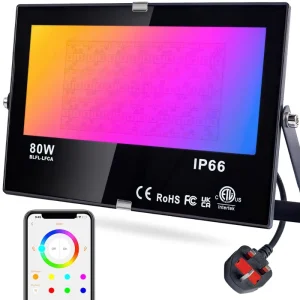 80W RGB Colour Changing Flood Light Remote Control Memory Timing 4 Modes IP66 Waterproof Outdoor LED Floodlight for Party