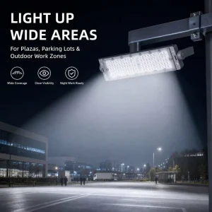 AC100-240V RGBW LED Flood Light Dimmable CCT Color Changing IP65 Remote Control 50W 100W Outdoor Garden Landscape Lamp CE RoHS