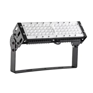 AC220V 50W 100W 150W RGB COB LED Flood Light IP65 Waterproof Aluminum Body Remote Control Decorative Landscape Lighting for Road