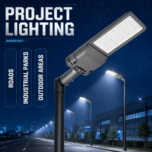 AC220V IP65 50W 100W 150W 200W LED Street Light Adjustable Mount Bulk for Road Parking Factory Outdoor Landscape Lighting SG1
