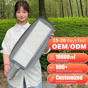 AC85-265V LED Street Light Outdoor Road and Highway Lighting IP65 Waterproof Street Lamp 50W 100W 150W 200W