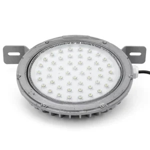 ATEX 30W 50W 100W 150W 200W IP66 AC220V Class I/Division 1 Gas Station Emergency Explosion-Proof LED Ceiling Light