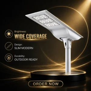 All Solar Monocrystalline 60W Highway IP65 Waterproof Battery Operated DC Aluminum Certified Street Light