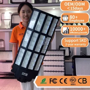All in One Solar LED Street Light 6000K High Brightness 2 Year Warranty Solar Street Light Outdoor Road Use With RoHS and CE