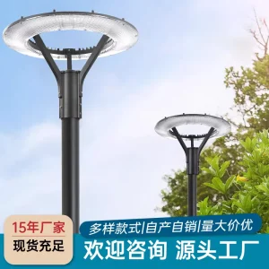 Aluminum Housing LED AC Powered Outdoor Street Garden Lamp IP65 Waterproof Remote Control Super Bright 6000K Daylight Lighting