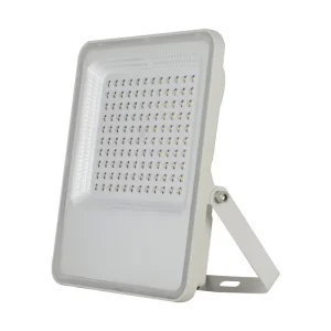 Aluminum Housing Spot Outdoor Waterproof 10W 20W 30W 50W 100W Floodlight Par30 Flood LED Light