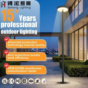 Aluminum IP65 Waterproof Outdoor LED Garden Light 30W AC Power Supply High Pole Pathway Yard Lamp
