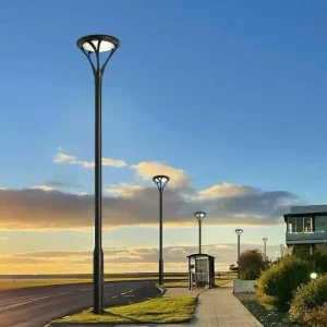 Aluminum New Type 2m 3m 4m 30w 50w 60w Outdoor Led Type Garden Lamp Lights Pole Light Park Lighting