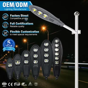 Best Quality Aluminum 30W 50W 100W 150W 200W 250W Outdoor Road Lamps IP66 Waterproof Street Lights COB Cobra Led Street Light