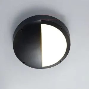 Best Selling IP65 Indoor Outdoor Waterproof Induction LED Ceiling Light for Garden Round Glass Ceiling Lamp