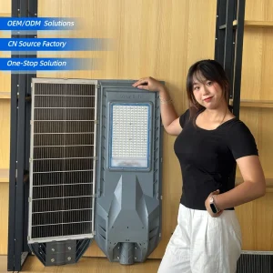 CE OEM ODM IP65 Waterproof Integrated Solar Street Light Outdoor Highway All in One Motion Sensor Solar Road Lamp