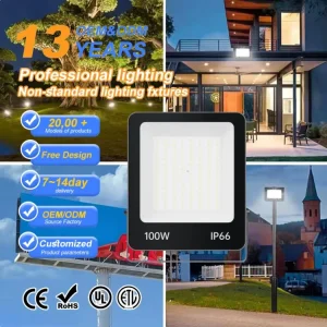 COB LED Outdoor Floodlight IP66 Waterproof Aluminium Housing High Lumen 100 200W CE Certified Remote Control 120 Beam Angle