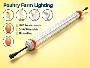 Chicken Coop Lighting T8 Tube Red+White Switchable Horizontal Hanging 5 Years Warranty