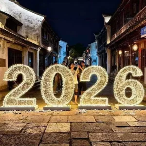 China IP65 Waterproof PVC Christmas New Year Commercial Use Outdoor Landscape Customized Decorative LED Motif Light