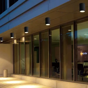 Classic IP65 Outdoor LED Ceiling Light with Cylindrical Design and Aluminum Base for Garden