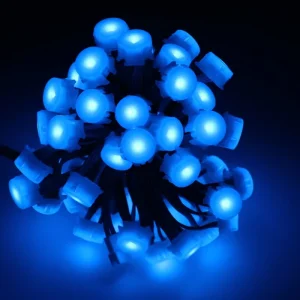 Colorful 12V Outdoor Waterproof LED Point Lights for Christmas Outdoor Decorative Lights