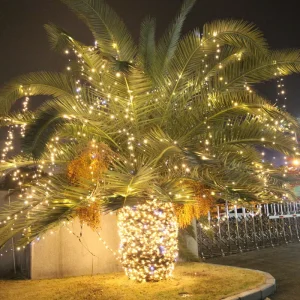 Copper LED Flashing Christmas IP67 Waterproof Indoor Outdoor String Lights for Tree Garden Atmosphere Hanging Decorative Lights