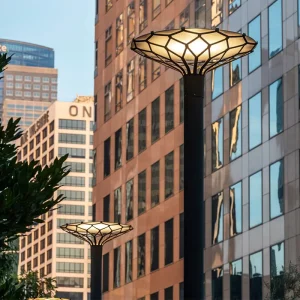 3-6M High Die-cast Aluminum LED IP65 Electric Modern Dimmable 2700K Soft Warm White Garden Street Light with 3-Year Warranty