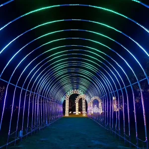 Custom LED Outdoor Holiday Lights Waterproof 3D Motif for Street Garden and Park Decorations
