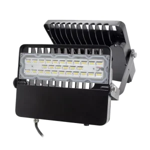 Custom Laser Logo Outdoor Flood Light 100W with Asymmetrical Lens 120*90°