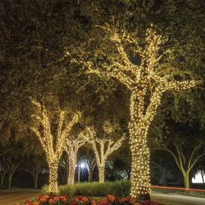 Custom Size IP44 Flexible PVC Warm Amber 2700K All Weather Commercial Street Garden Festival Celebration LED String Lights
