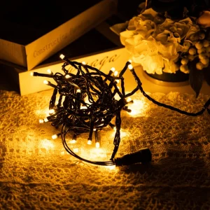 Customizable IP67 LED String Lights PVC Body for Garden Outdoor Street Holiday & Waterproof Decoration