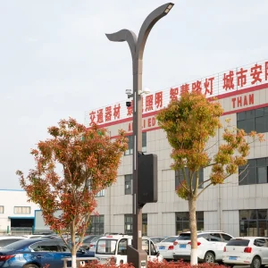 Customized 6M 7M 8M Height Outdoor Smart City Lighting Application Garden LED Smart Street Light