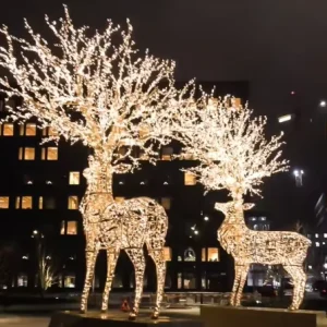 Customized Decorative 3d Motif Lights for Christmas Outdoor Waterproof Decoration LED Lights