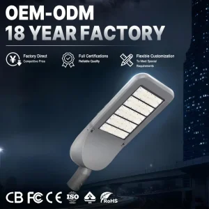 Customized Industry High-pole AC Powered Road Application Pathway and Highway CRI 90 Waterproof Street Light