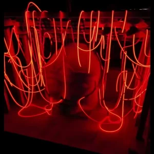 D22 360 Degree Flexible Neon LED Silicone Tube Light DC24V WS2811 DMX512 RGB RGBW LED Strip for Music Festival
