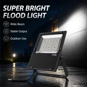 DC 12V 24V 220V 110V Waterproof IP65 LED Projector Lamp 30W 50W 80W 100W 150W 200W Portable LED Flood Light Outdoor Flood Light