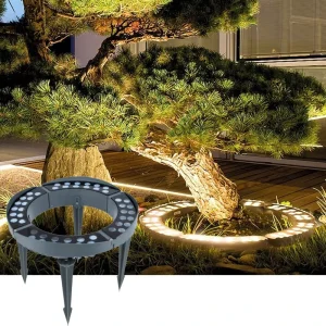 DC 24V Outdoor Waterproof LED Park Ring Lamp 4*12W 3000K Hug Tree Light With IP65 For Landscape Garden Trees