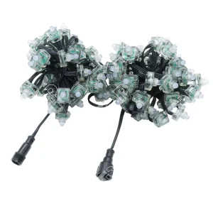 DC12V 100 Lights Per String 5CM Distance WS2811 Square Node 18awg Black Waterproof Smart RGB Full Color Pixel LED String