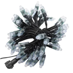 DC12V IP68 Waterproof 2700K Warm White CRI 85 Dimmable Bullet LED Pixel Lights Garden String Light 3-Year Warranty