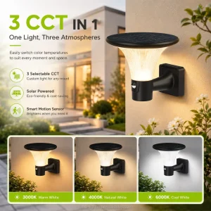 Decorative Functional IP65 Solar Garden Light LED 1000lm Remote Control 3600mAh Rechargeable Outdoor Wall