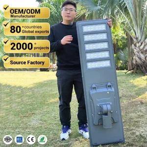 Die-casting Aluminum Lithium Battery Waterproof Streetlight 200W 300W 400W 500W All in One Outdoor LED Solar Street Light