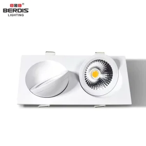 Double-Head Square COB LED Commercial Ceiling Light, IP65, Indoor Recessed Downlight