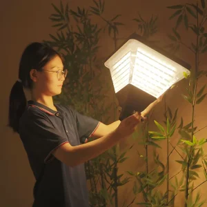 Easy Installation IP65 Waterproof LED Solar Garden Light with Solar Panel for Outdoor Landscape Lighting